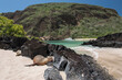 Galapagos beach with a sea lion