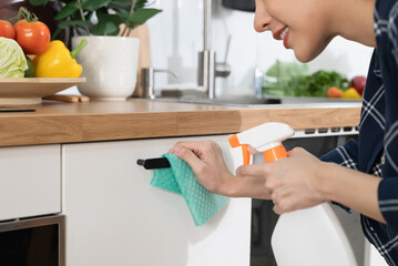 Wall Mural - Close up person cleaning kitchen