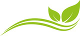 Fototapeta Tulipany - Pflanzen, Blätter und Wellen, Linien, Wellness, Gärtner und Natur Hintergrund