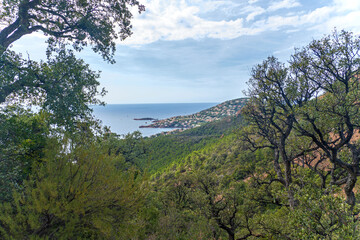 Sticker - Landschaft im Estérel-Gebirge an der Côte d'Azur