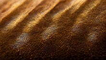 Closeup Of A Golden Uneven Surface For Cool Background With Light