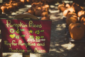 Sticker - Colorful board of pumpkin prices during a pumpkin sale on a farm