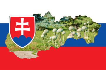 outline map of slovakia with the image of the national flag. image of a poppy cob inside the card. c