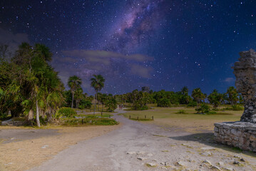 Palms near Great platform, Mayan Ruins in Tulum, Riviera Maya, Yucatan, Caribbean Sea, Mexico with Milky Way Galaxy stars night sky