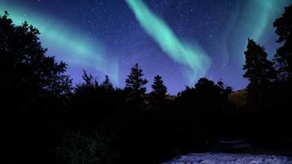 aurora borealis green loop snow mountain forest purple sky northern lights