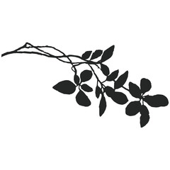 Wall Mural - Realistic branches a silhouette of bare dry twigs,bushes and withering autumn nature.