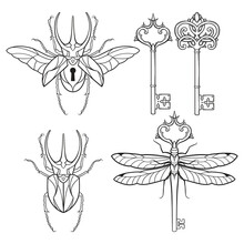 Set Of Skeleton Keys, Bug Padlock And Dragonfly In Vintage Style Coloring Book Pages For Kids And Adults Hand Drawn Line Art Print Or Tattoo Design Vector Illustration