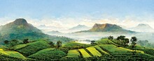 Sri Lanka Tea Plantation, Landscape View, Beautiful Panorama. Digital Art