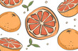 Vector isolation  orange cartoon  summer background set, concept fruit, vitamin C, natural, organic, beauty, framework, drink, artwork, splash, card, fresh fruit, card, beach, picnic