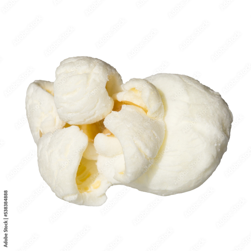 single popcorn kernel clipart