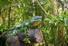 Sculpture Of Big Iguana In Tropical Forest In Phlio Waterfall Park