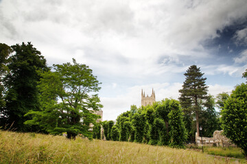 Wall Mural - church tower above the tree line