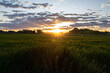 © Santiago - Atardecer en el campo