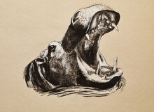 The Head Of A Hippopotamus With Its Mouth Wide Open. Modern Sketch Icon