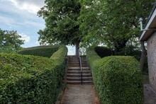 Beautiful Garden With Stairs Between The Bush Of Plants And Trees
