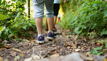 Wall Mural - children walking in the forest 