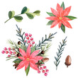 © Nadi - Watercolor, Christmas star, poinsettia, needles, cute cartoon deer, red berries, snowflakes, cones, glass toys, Christmas mood