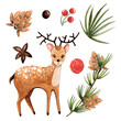 © Nadi - Watercolor, Christmas star, poinsettia, needles, cute cartoon deer, red berries, snowflakes, cones, glass toys, Christmas mood