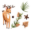 © Nadi - Watercolor, Christmas star, poinsettia, needles, cute cartoon deer, red berries, snowflakes, cones, glass toys, Christmas mood