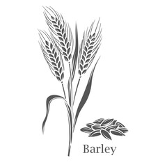 Sticker - Barley cereal crop glyph icon vector illustration. Cut black silhouette growing grain farm harvest on rural agriculture field, ripe organic ears of plant with grass stem, leaf and seeds