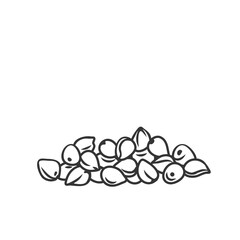 Sticker - Sorghum cereal crop outline, icon vector illustration. Monochrome drawn sorgo grain seeds