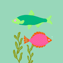 Fish Illustration