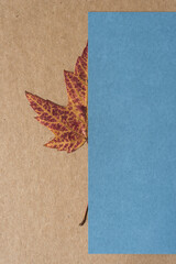 Poster - autumn leaf partly covered by paper