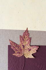 Wall Mural - variegated red and yellow autumn leaf on paper