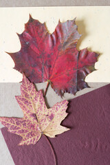 Sticker - grungy weather-worn autumn maple leaves on yellow and burgundy paper and cardboard