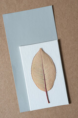 Sticker - autumn leaf isolated on white canvas board and set on gray paper and cardboard