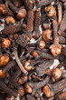 Clove indian-cloves ding xiang laung clavo clou de girofle chiodo di garofano qurnafl nelke Syzygium Aromaticum dry brown spice closeup view image photo