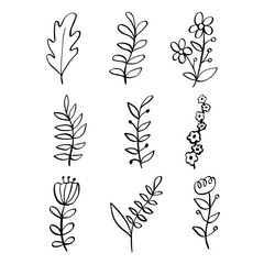 Black line doodle flowers and leaves on white background. Vector illustration about nature.