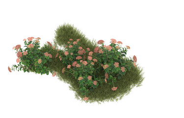 Wall Mural - Field of grass with flowers on transparent background. 3d rendering - illustration