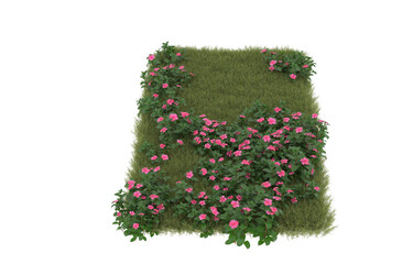 Wall Mural - Field of grass with flowers on transparent background. 3d rendering - illustration