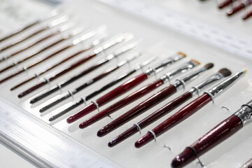 Wall Mural - Set of professional make up brushes on counter of make up store - close up, selective focus. Glamour, fashion, cosmetic, makeup and beauty concept