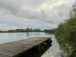 Poster - Picturesque view of river reeds and cloudy sky