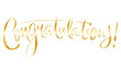 Metallic gold CONGRATULATIONS brush lettering banner on transparent background