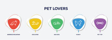 Infographic Element Template With Pet Lovers Outline Icons Such As Bernese Mountain, Dog Lying, Sad Dog, Husky, Pet Toy Vector.