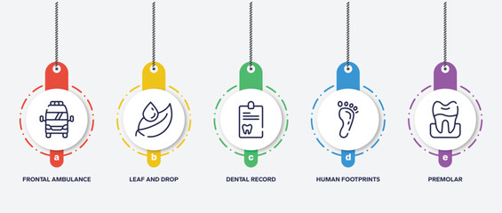 infographic element template with dental care outline icons such as frontal ambulance, leaf and drop, dental record, human footprints, premolar vector.