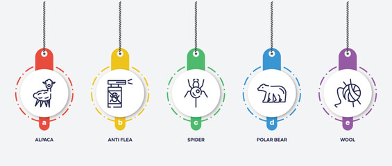 infographic element template with pet grooming outline icons such as alpaca, anti flea, spider, polar bear, wool vector.