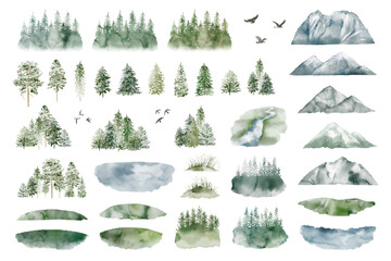 Watercolor Forest tree illustration. Mountain landscape. Woodland pine trees. Green Forest.