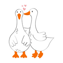 A Couple Of Kissing Geese. Hand Drawn Modern Vector Illustration.
