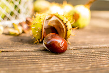 Chestnuts On The Leaves