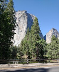 Wall Mural - Vertical scenic view from the road passing near the lush forest and rocky mountains on a sunny day