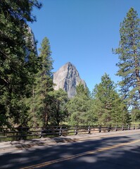 Wall Mural - Vertical scenic view from the road passing near the lush forest and rocky mountains on a sunny day