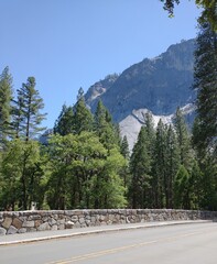 Wall Mural - Vertical scenic view from the road passing near the lush forest and rocky mountains on a sunny day