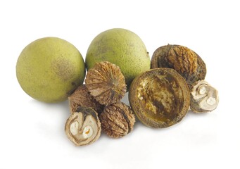 Wall Mural - green fruits of black walnut tree at autumn close up