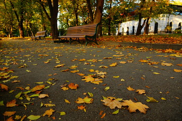 Wall Mural - bench in autumn park