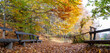 Jesień w Pienińskim Parku. Autumn in the Pieniny Park.