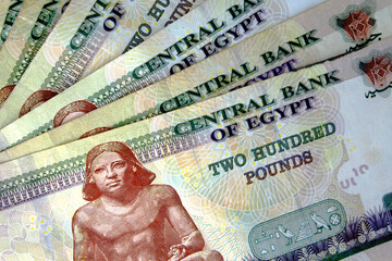 Egyptian pounds banknote